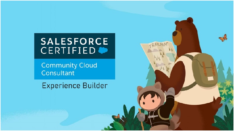 What Is The Salesforce Experience-Cloud-Consultant Exam?