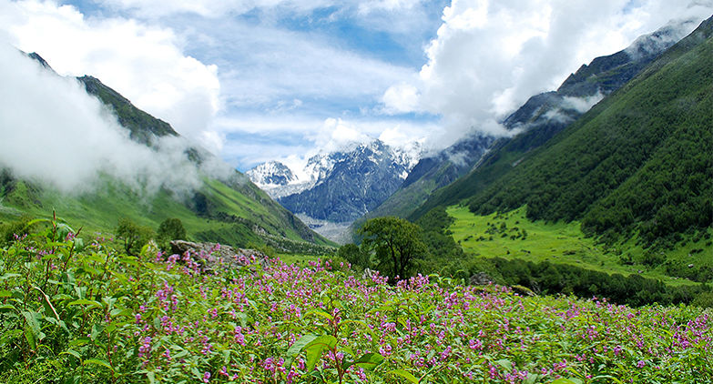 Things to Do in Valley of Flowers