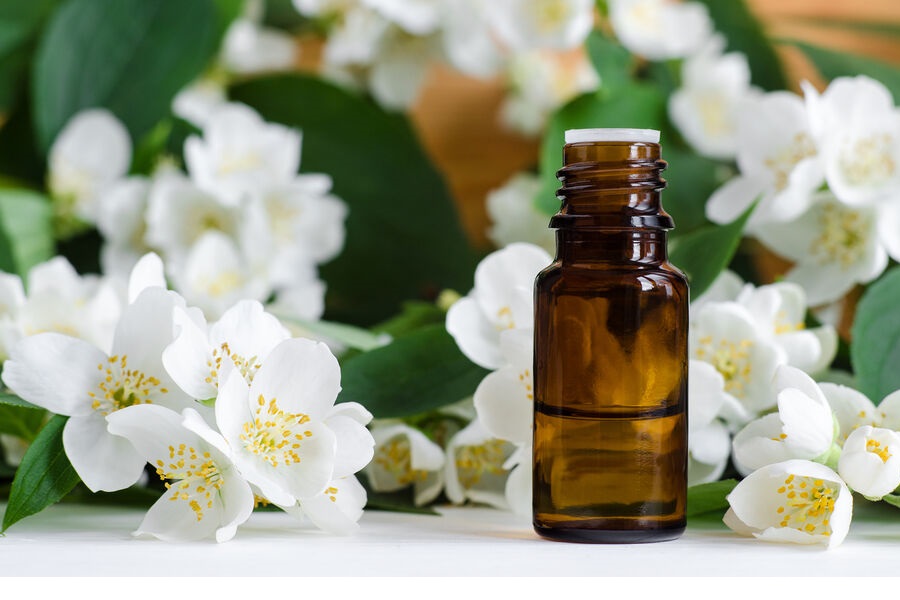 Jasmine And Its Benefits!