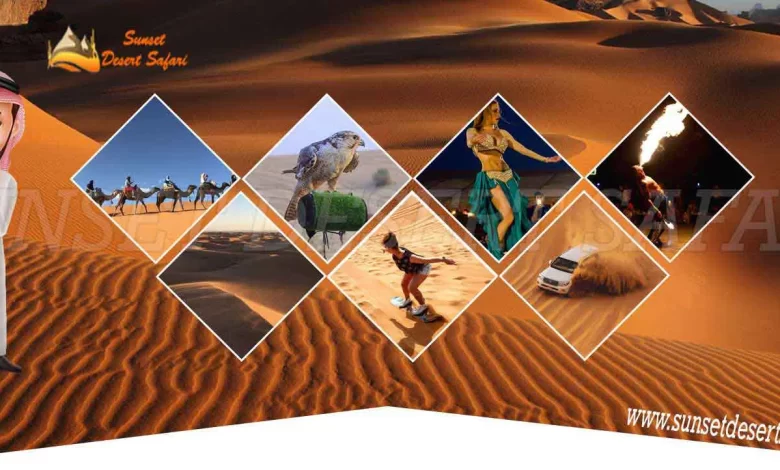 Insights Of Desert Safari