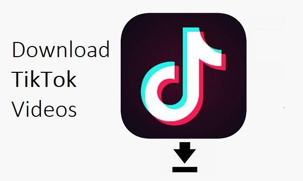 TikTok Video Downloader: 14 Free TikTok Watermark Free Download Sites/Website