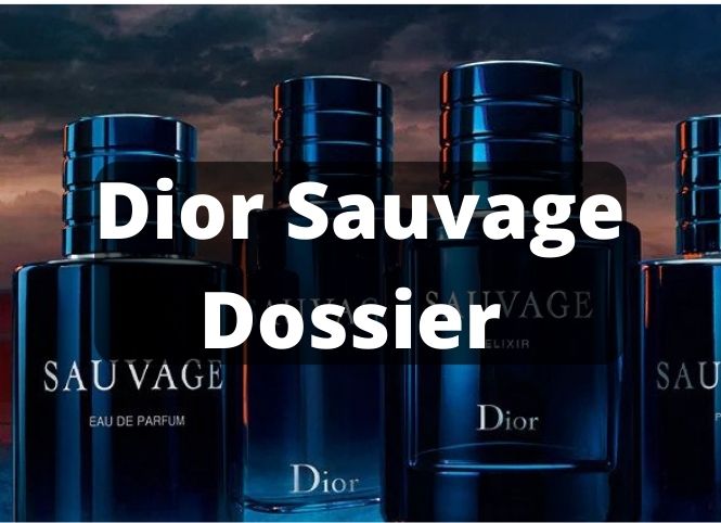 Dior Sauvage Dossier Review