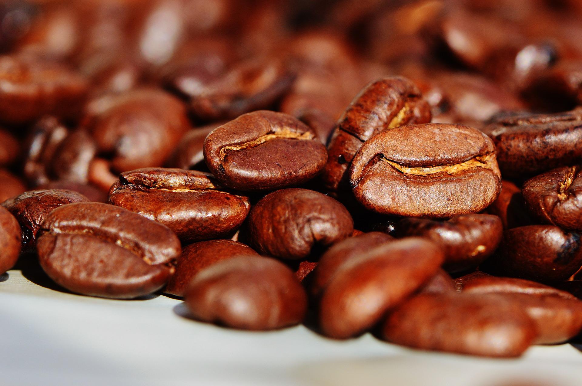 Top 5 Must-Try Specialty Coffee Beans In 2022