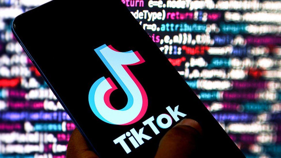 A guide to downloading TikTok videos using Snaptik