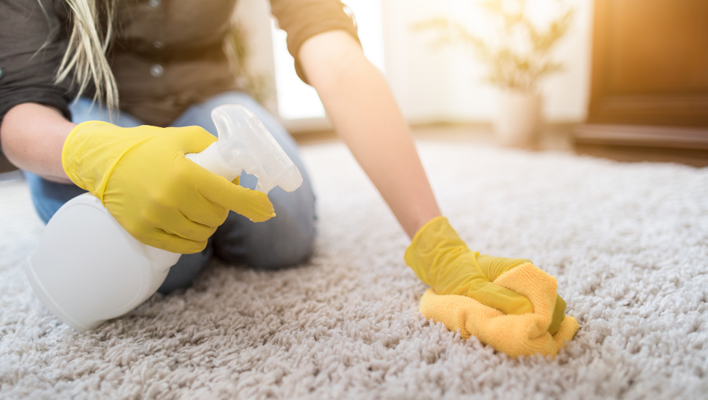 The Secrets To The Best Carpet Cleaning Tips That Will Change Your Life