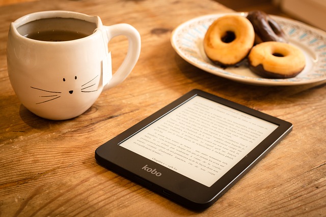 5 EBooks Like Streaming Platforms you Should Read