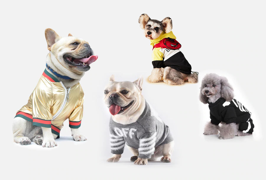 Features of one of the best pet clothing shop