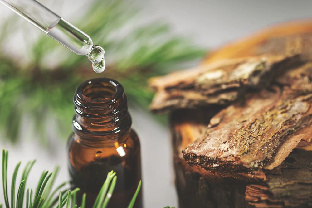 French Pine Bark Has Many Health Benefits