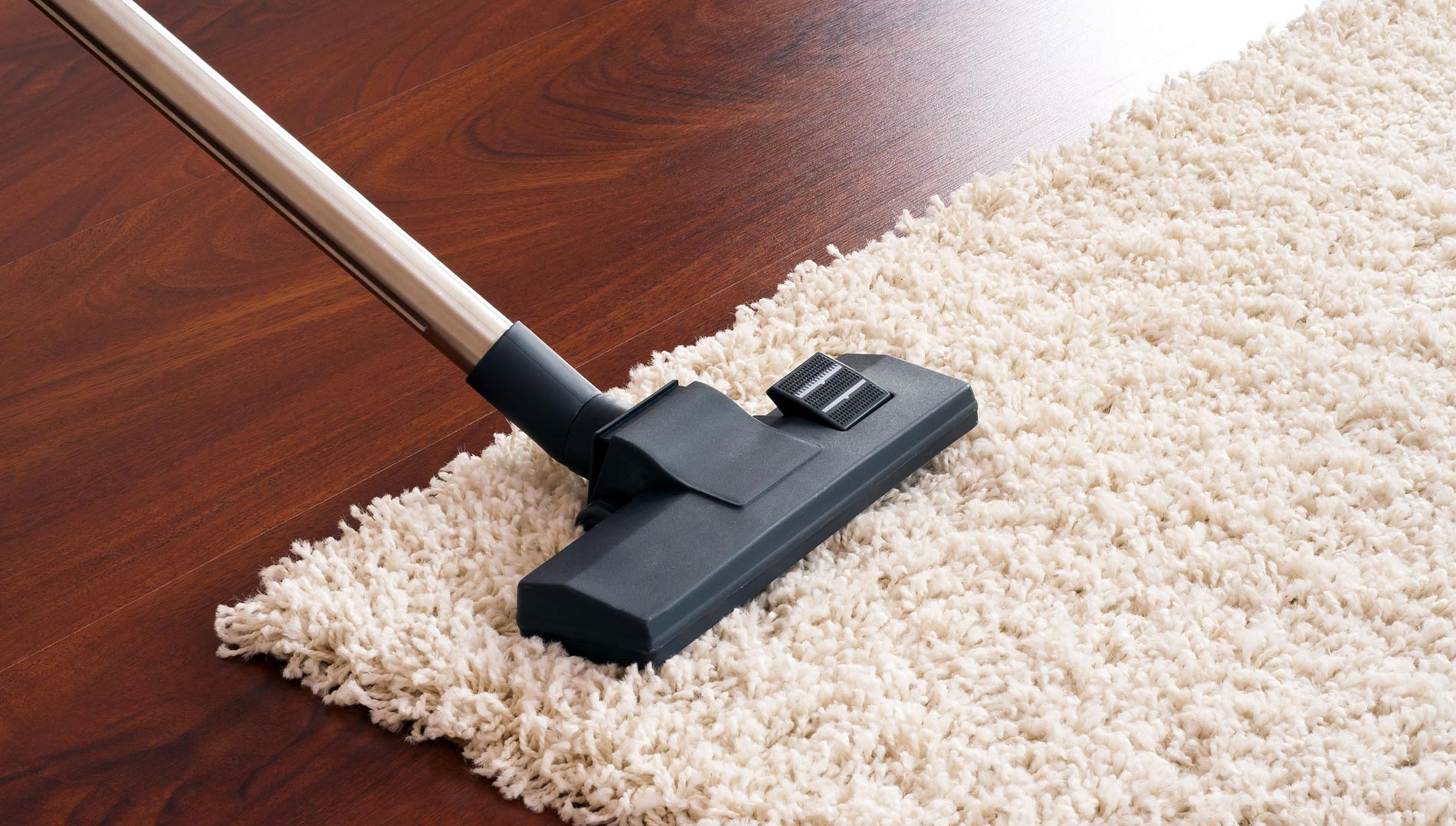 Finding a Carpet Steam Cleaning Near Me