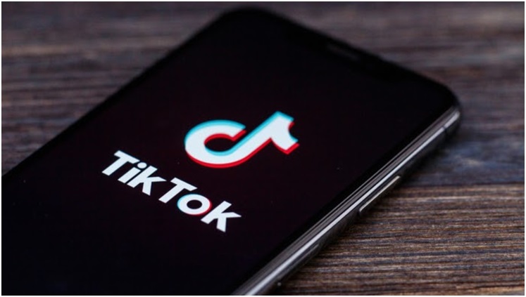 SnapTik to Download TikTok Videos with No Watermarks