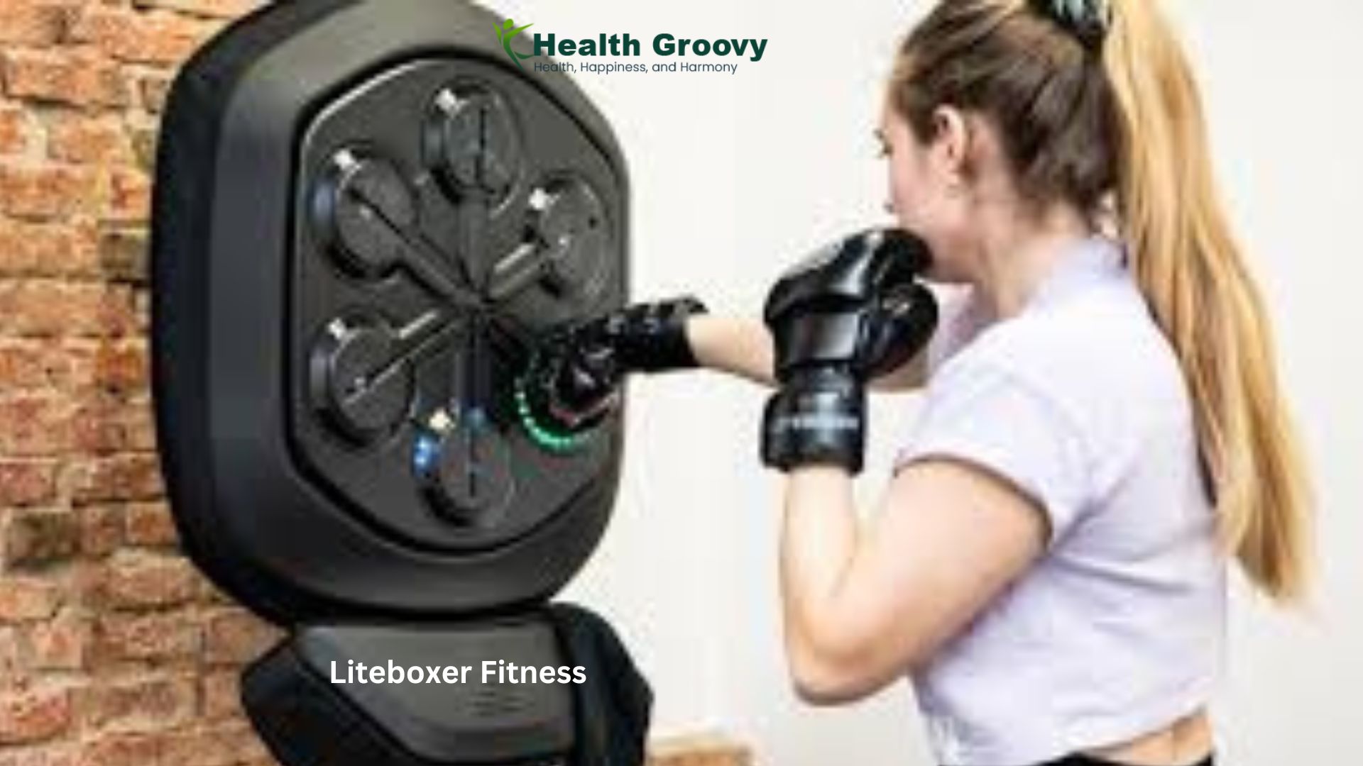 Liteboxer Fitness Bundle – What You Need To Know