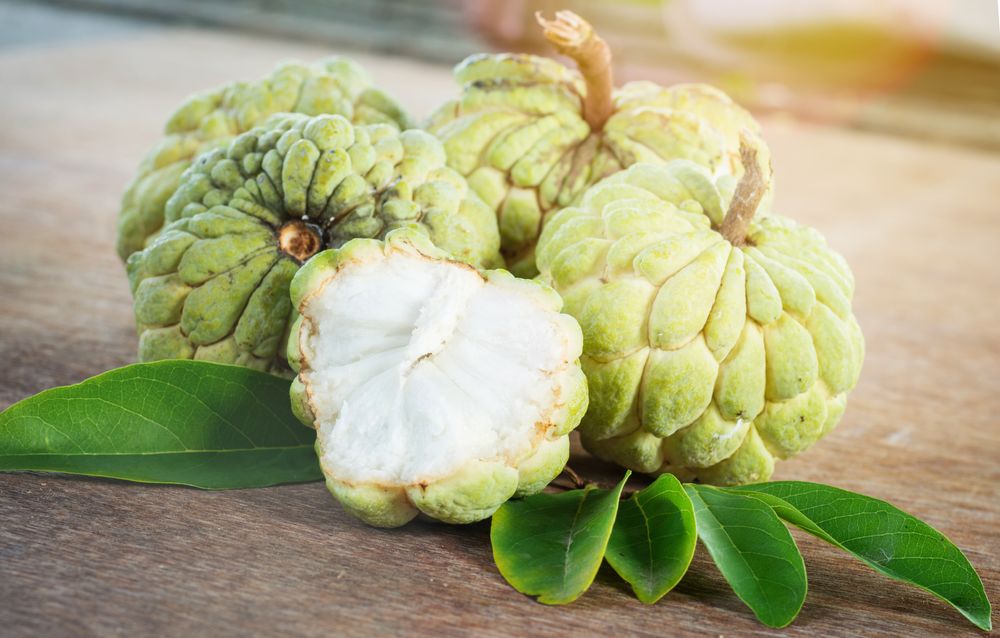 Making The Most Of An Custard Apple