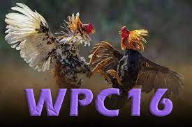 WPC16: How to Access the Dashboard Easily (2022) What Is WPC16?