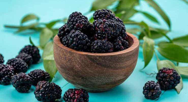 What Can Blackberries Do For Men’s Health?