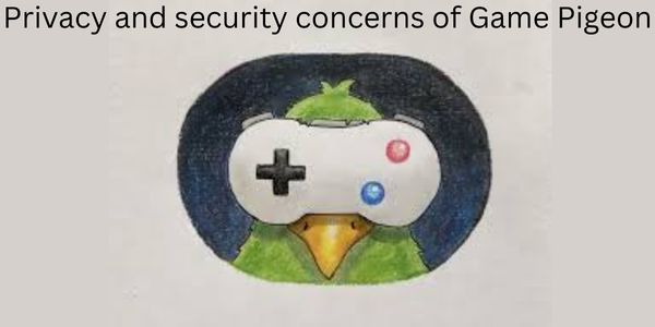 Privacy and security concerns of Game Pigeon
