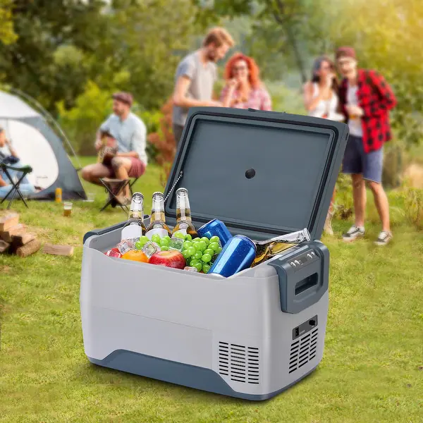 Best Portable Car Refrigerator