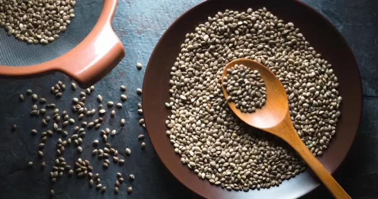 Chia Seeds Health Benefits For Protein and Fiber