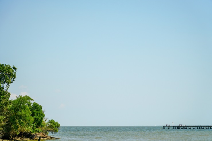 Things to Do in Texas Gulf Coast: A Coastal Paradise