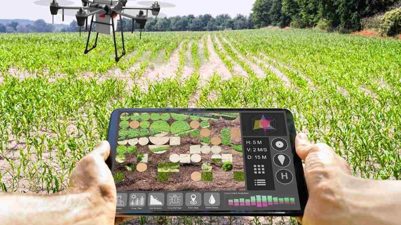 Mapping the Future of Farming: The Revolution of Agricultural Mapping Software
