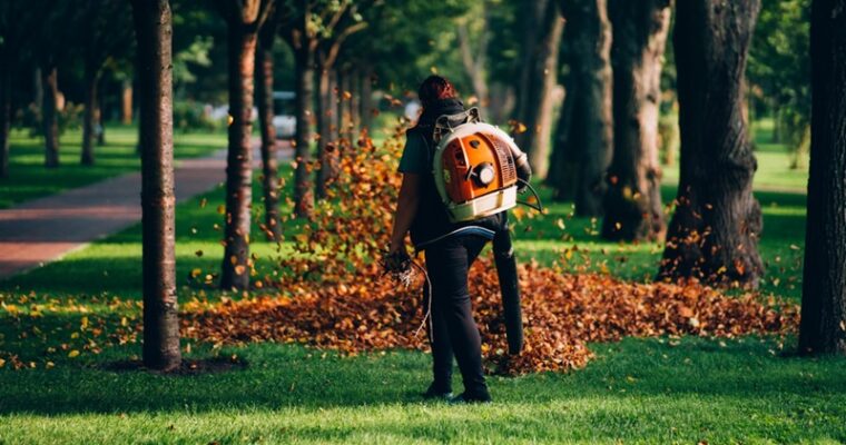 Exploring the Health Benefits of Regular Lawn Mowing