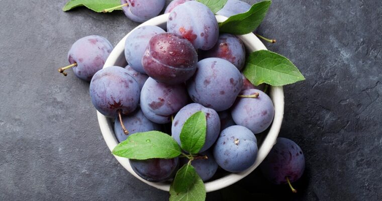 Plum Fruit: A Sweet Superfood? Benefits, Nutrition, and Potential Downsides
